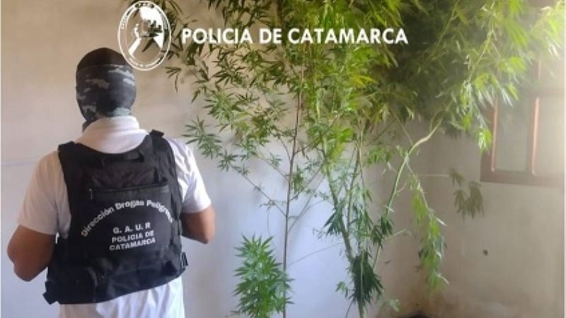 Tras un allanamiento secuestran droga en Andalgalá