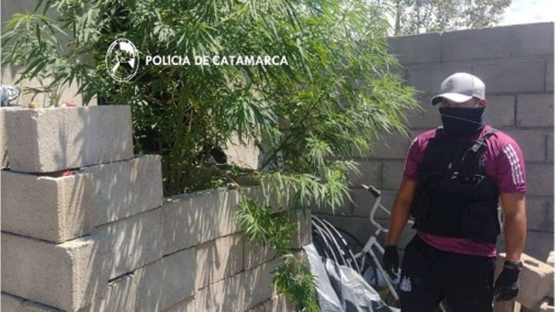 Tras un allanamiento secuestran droga en Andalgalá