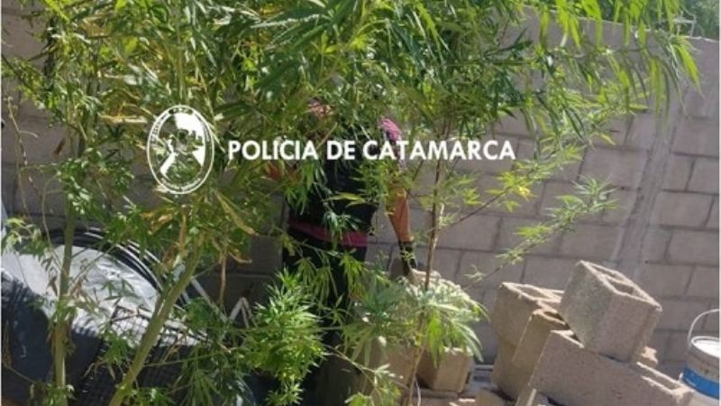 Tras un allanamiento secuestran droga en Andalgalá