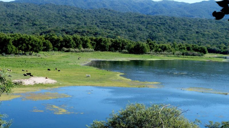 Se levanta la veda para la pesca deportiva el Dique Sumampa