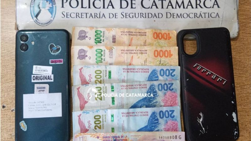 Devolvió lo robado pero igual fue detenido