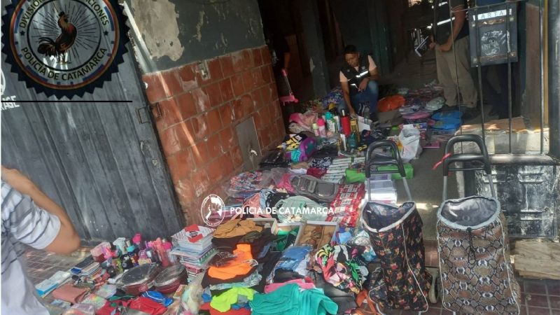 Desbarataron una banda de punguistas