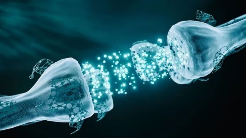 Ya se descubrieron 10.867 enfermedades poco frecuentes en el mundo