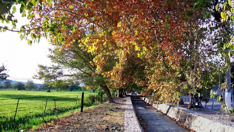 Accidente Vial: dos jovencitos terminaron en el hospital