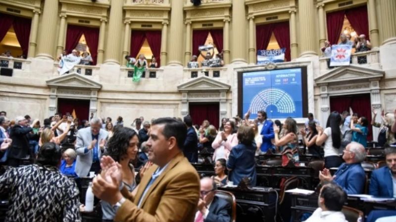 El Frente de Todos logró aprobar la ley de plan de pago de deuda previsional