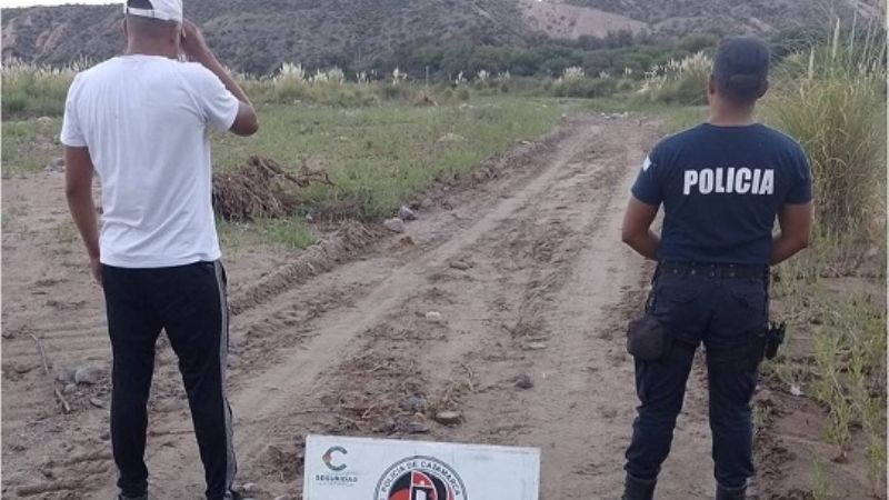 Secuestran plantas de marihuana