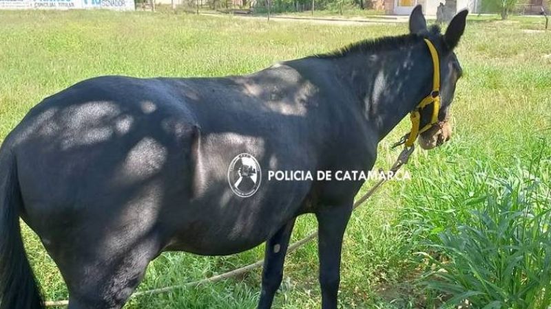 Esclarecen un robo en San Antonio de La Paz