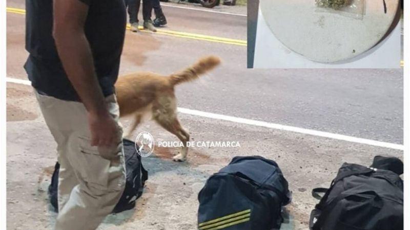 Secuestraron marihuana en Capayán