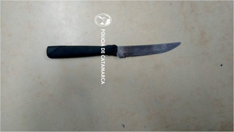 Golpeó a su madre y al padrastro