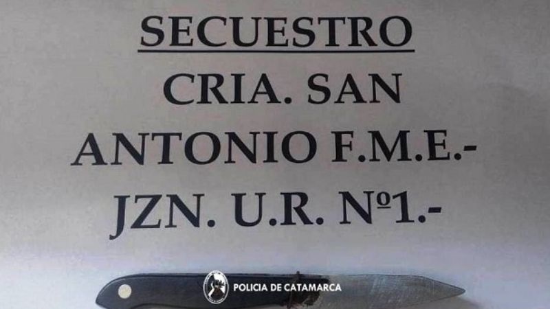 Con un cuchillo amenazó de muerte a su abuelo