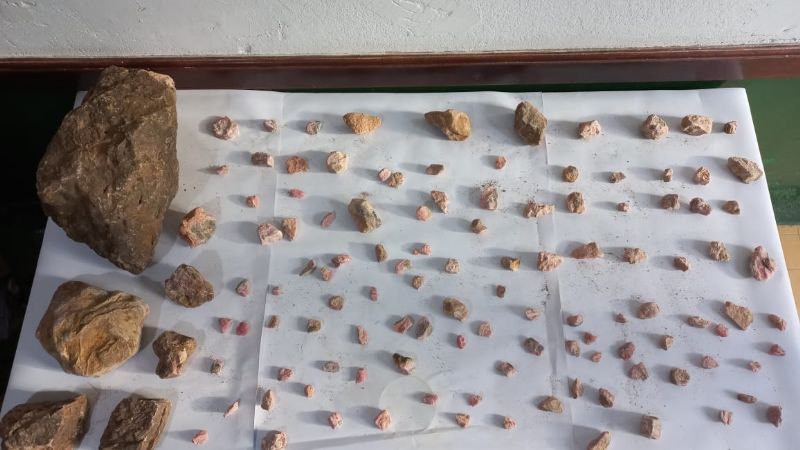 Llevaba 751 piedras de rodocrosita de Andalgalá