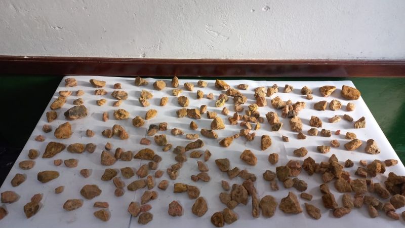 Llevaba 751 piedras de rodocrosita de Andalgalá