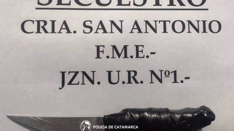 Con un arma blanca intentó robar un teléfono