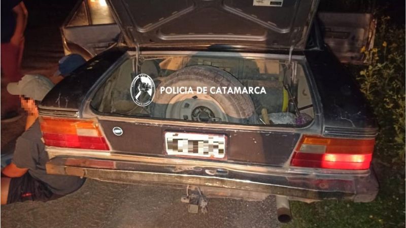Llevaban una vaca muerta debajo del asiento del auto