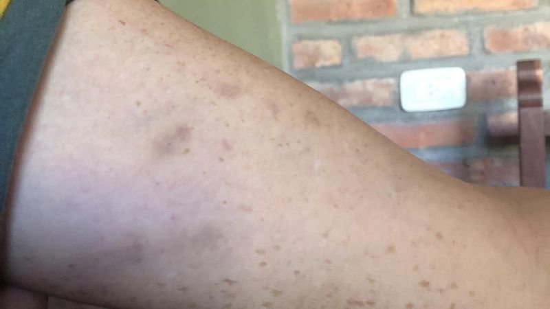 Denunciaron al intendente Francisco Gordillo por violencia de género