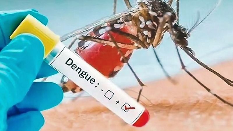31 casos de dengue en Catamarca