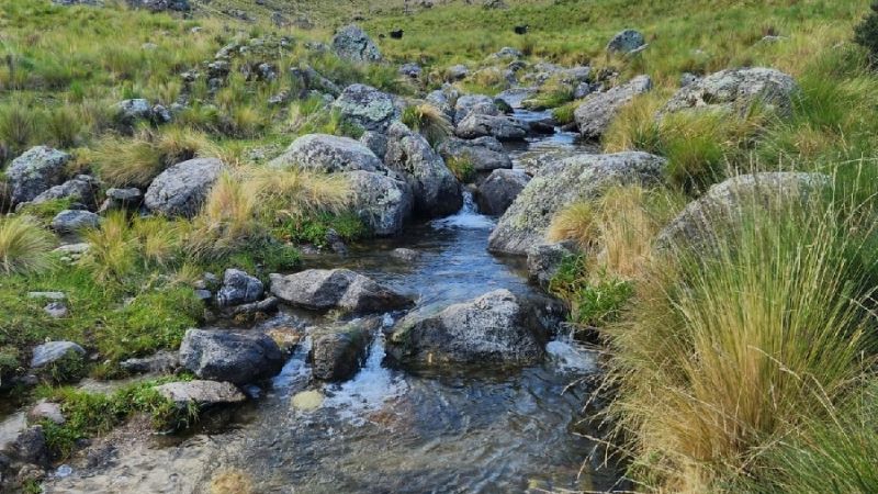 El Peinado, otra maravilla de las montañas catamarqueñas
