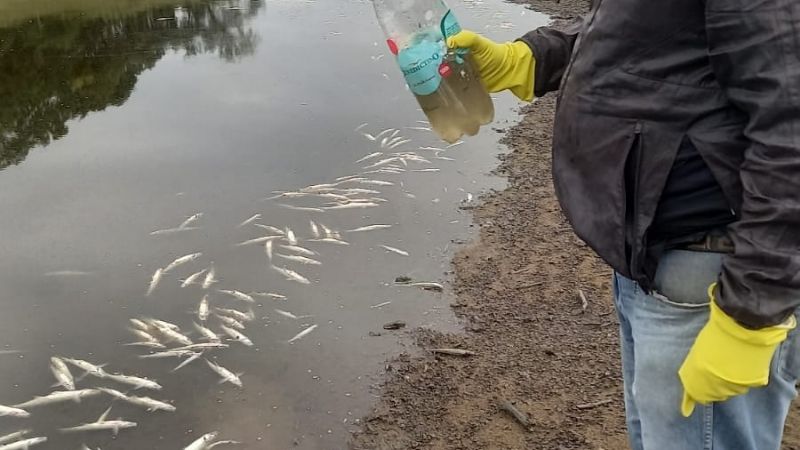 Medio Ambiente vedó el Dique Collagasta para la pesca deportiva