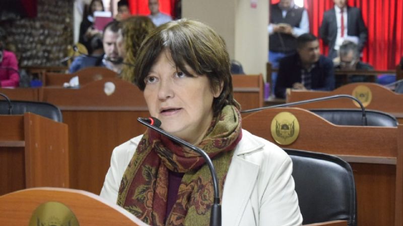 La diputada Adriana Díaz cargó contra opositores