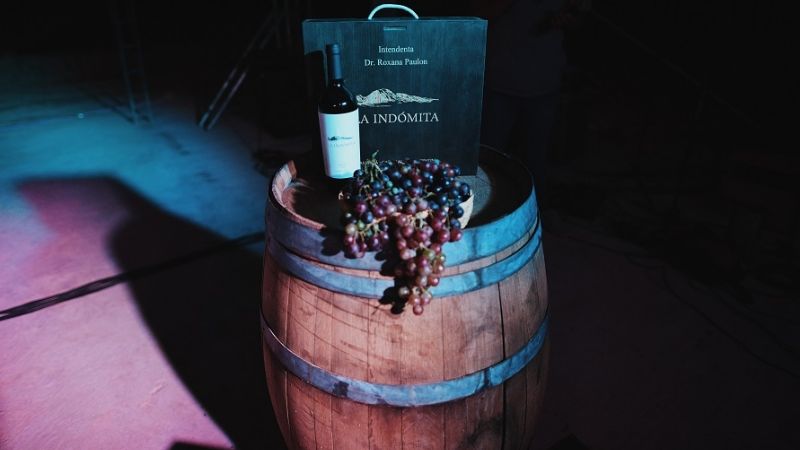Bodega La Indómita presenta su línea de vinos