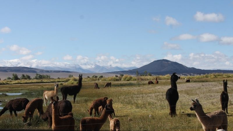 Antofagasta y sus inmensidades merecen más de la minería