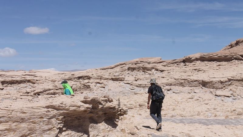 Los Uriarte somos vascos