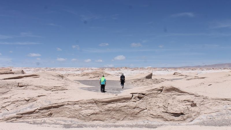 Los Uriarte somos vascos