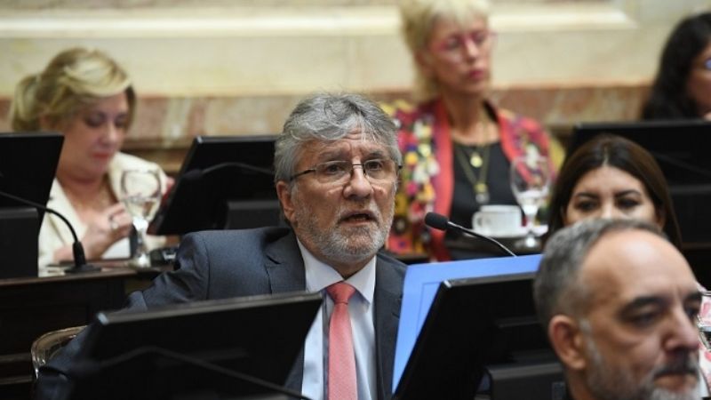 El caso Rojas se instaló en el Senado y hubo fuertes contrapuntos