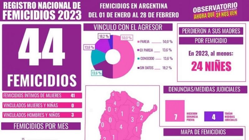 En 2022 hubo 242 femicidios y en 2023 van 40