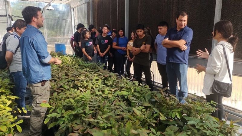 Acompañamiento a estudiantes de Londres para su formación profesional
