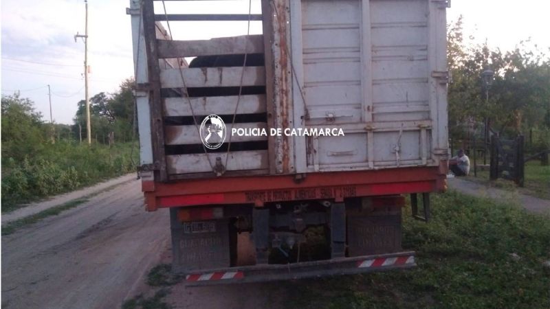 Por irregularidades detuvieron un camión cargado con animales