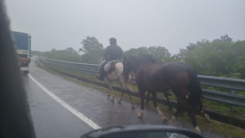 Precaución: vuelco de un camión y masiva presencia de peregrinos a caballo