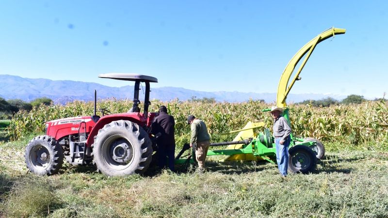 Capacitan a productores de maíz