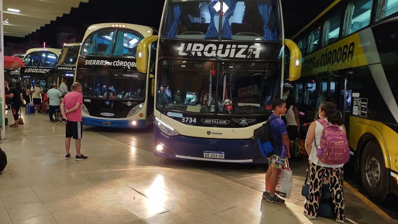 Insólito: pasajera se infecto por una plaga de chinches en el colectivo