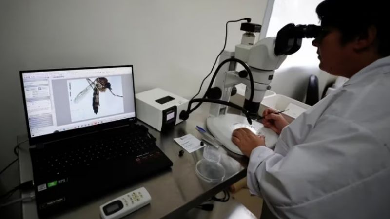 Suman 35 las víctimas fatales en todo el país