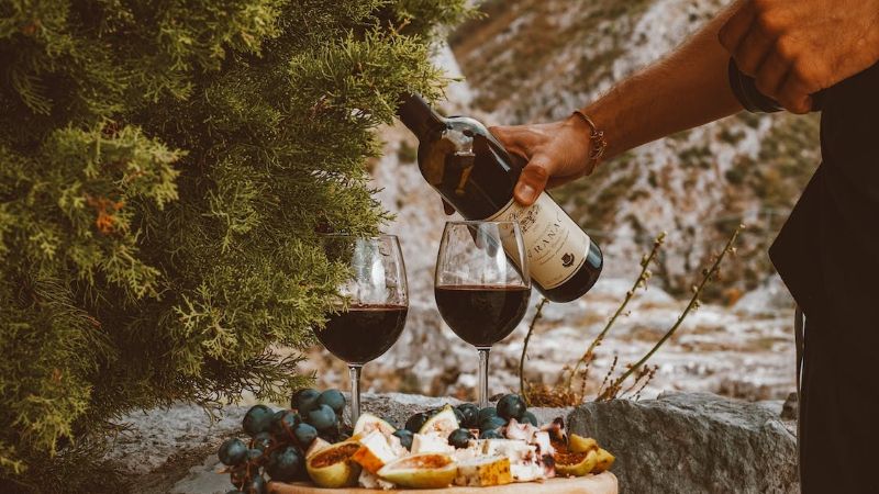 Día Mundial del Malbec: ¿por qué se celebra hoy?