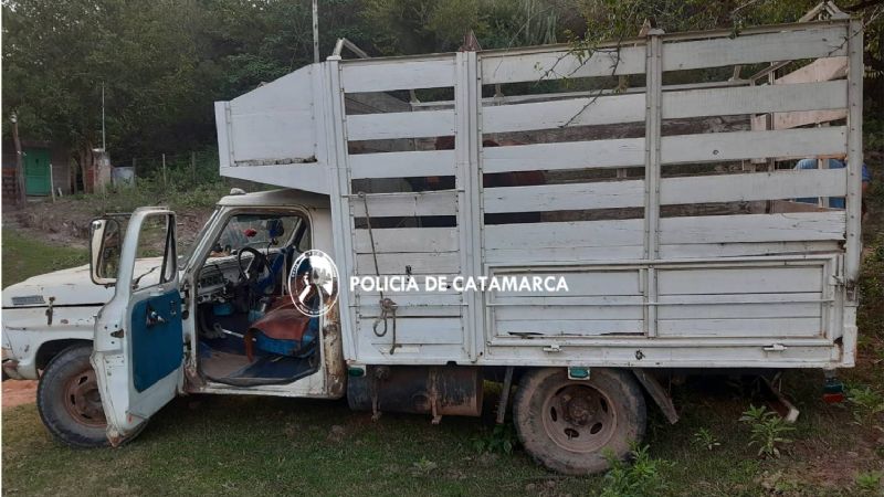 Faena y transporte de vacunos de manera irregular
