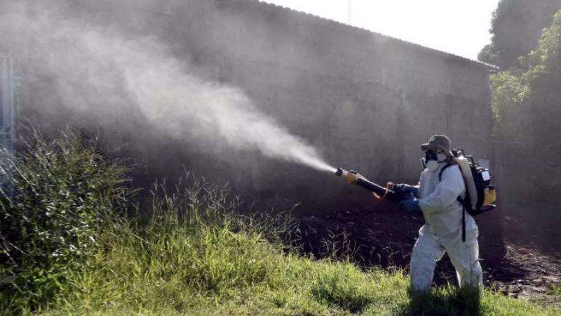 Dengue Tipo 2: "La letalidad de este virus afortunadamente es baja"