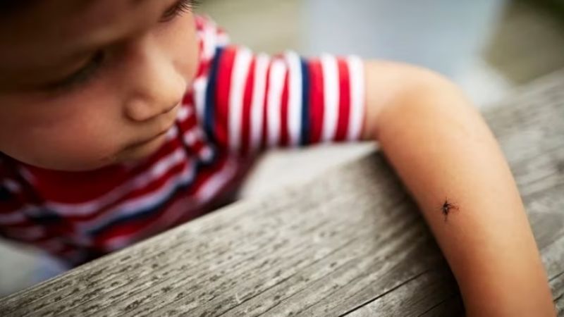 Las 5 razones que explican por qué AMBA y el NOA son las zonas más golpeadas