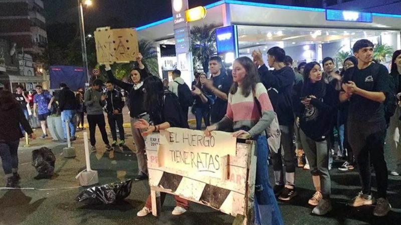 Suspenden clases en una escuela luego de que una rata mordiera a un alumno