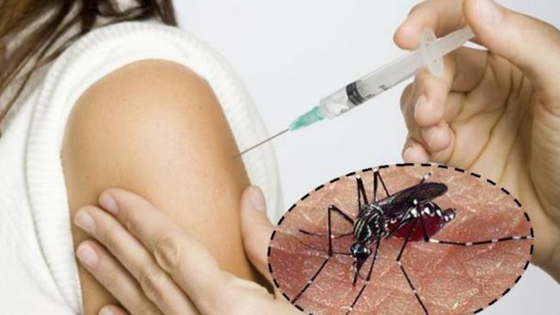 Aprobaron vacuna para la prevención del dengue: estaría disponible este año