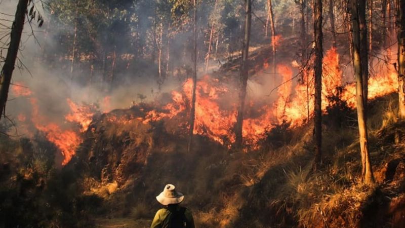 Realizarán conversatorios sobre prevención de incendios forestales y quemas controladas