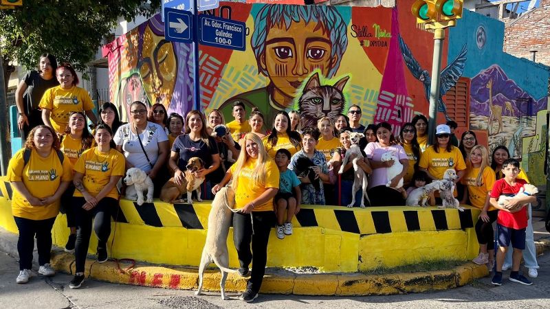 Un mural para decir NO al maltrato animal