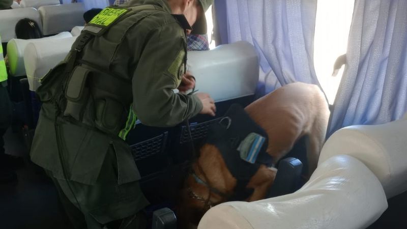 Llevaba 3 kilos de cocaína para Santa María