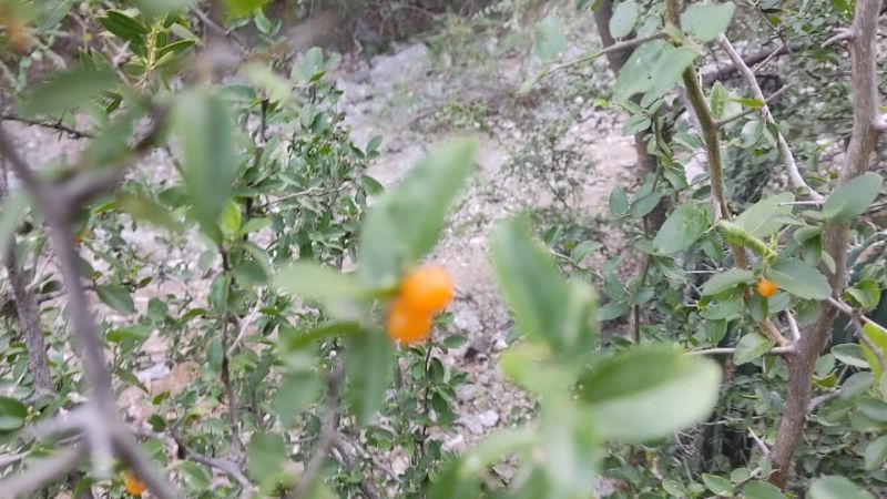 La Salamanca de El Jumeal, una opción para la aventura