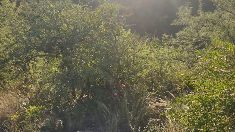 La Salamanca de El Jumeal, una opción para la aventura