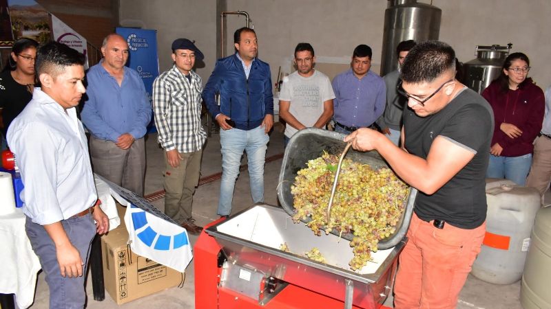 Importante respaldo del gobierno municipal a jóvenes productores vitivinícolas