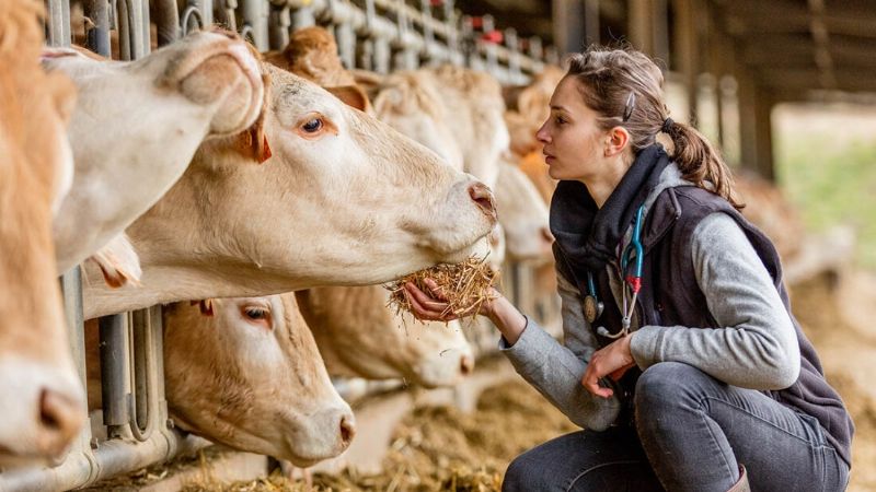 El 75% de las enfermedades humanas infecciosas tienen origen animal