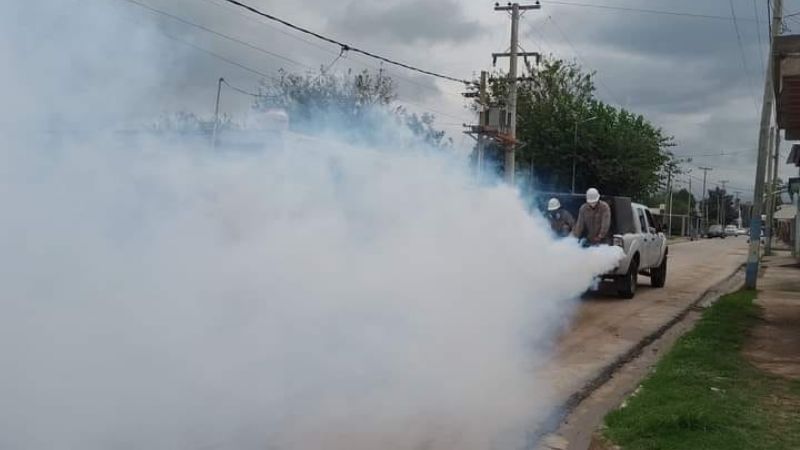 Operativos de prevención contra el dengue