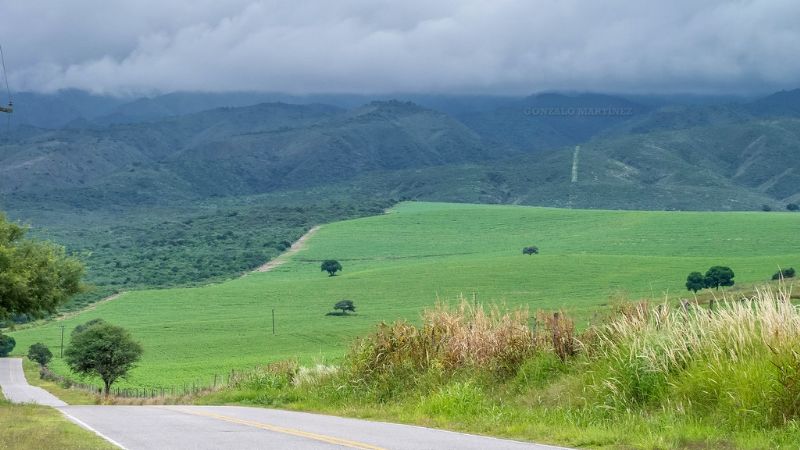 Fiesta, alcohol, descontrol y detenidos